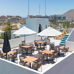 colmena-marina-cabos.cabosanlucashotelsmexico.com/