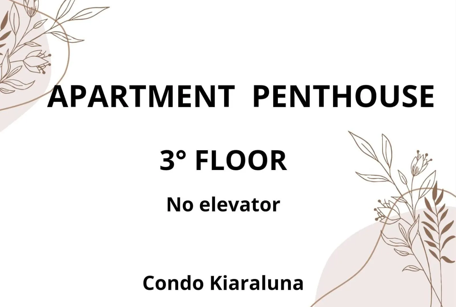 Condo Kiaraluna プレヤデルカーメン